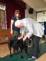 Archie Is An Old Hand At This Dog Show Business