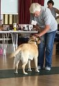 Molly Gets A Reassuring Stroke While She Practices For The Waggiest Tail Class