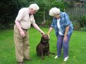Ben   Here is Ben enjoying life in his new home with his owners Mr. & Mrs. Slattery.  When he was in our care he was known as Livingstone  NEW  18/09/06