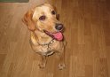Jess   Here is a photo of Jess on 7th October 2006.  NEW  27/01/07