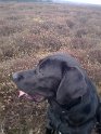 Billy   Pic 2 (Taken 20/03/11)  NEW  14/04/11