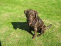 Bobby Robinson   Enjoying the sun.  NEW  05/05/11