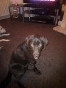 George Ward   Pic 4  NEW  17/11/11
