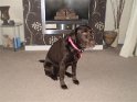 Millie Wheeler   Pic 2   NEW  23/02/11