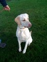 Poppy Preece   Pic 2  NEW  17/11/11
