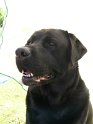 Murphy   Pic 3  NEW  16/09/11