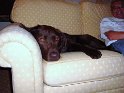Bernie Flack   Pic 2  NEW  01/08/13